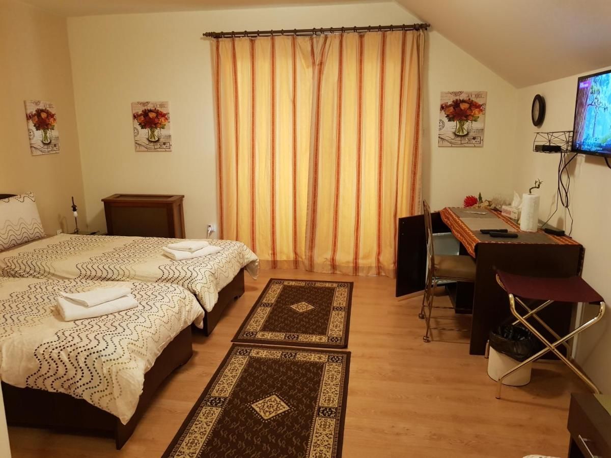 Гостевой дом Golden Moments Тимишоара-25