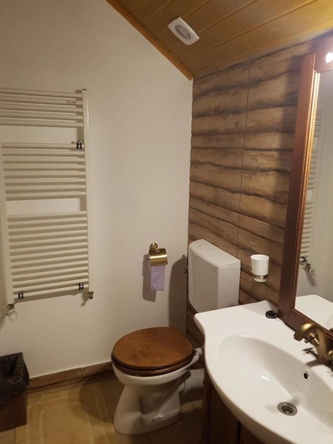 Гостевой дом Golden Moments Тимишоара-34