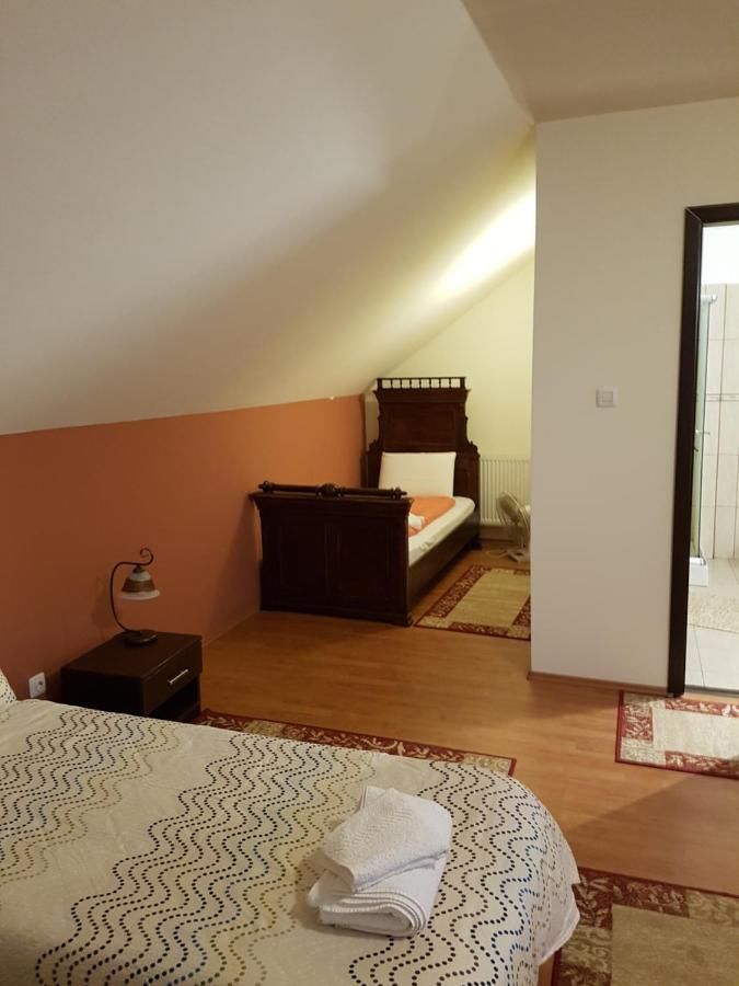 Гостевой дом Golden Moments Тимишоара-38