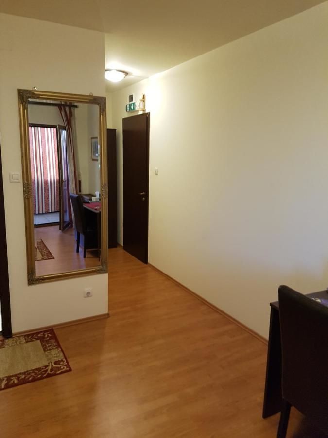 Гостевой дом Golden Moments Тимишоара-39