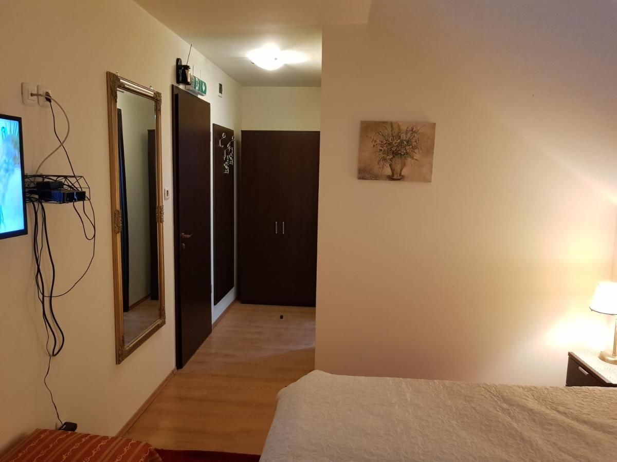 Гостевой дом Golden Moments Тимишоара-7