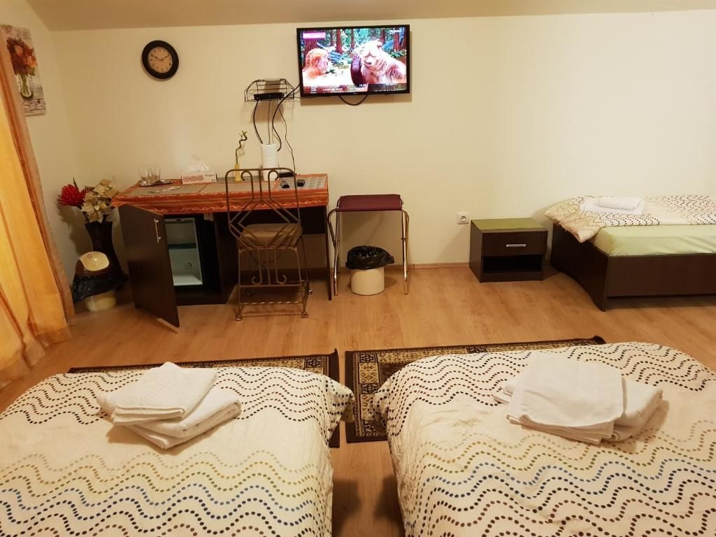 Гостевой дом Golden Moments Тимишоара-67