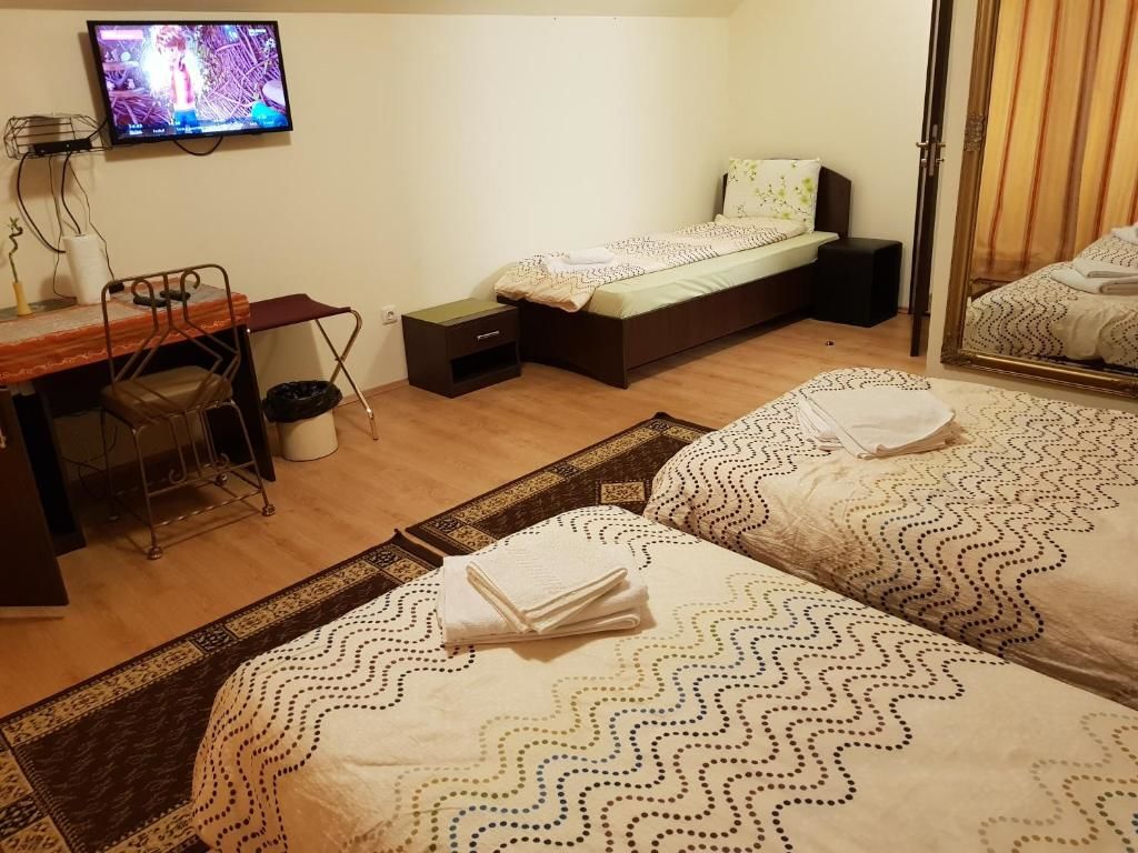 Гостевой дом Golden Moments Тимишоара-68