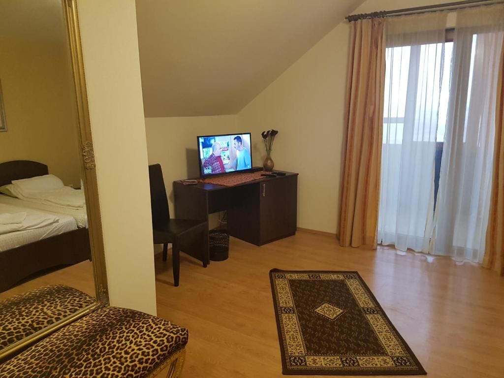 Гостевой дом Golden Moments Тимишоара-75