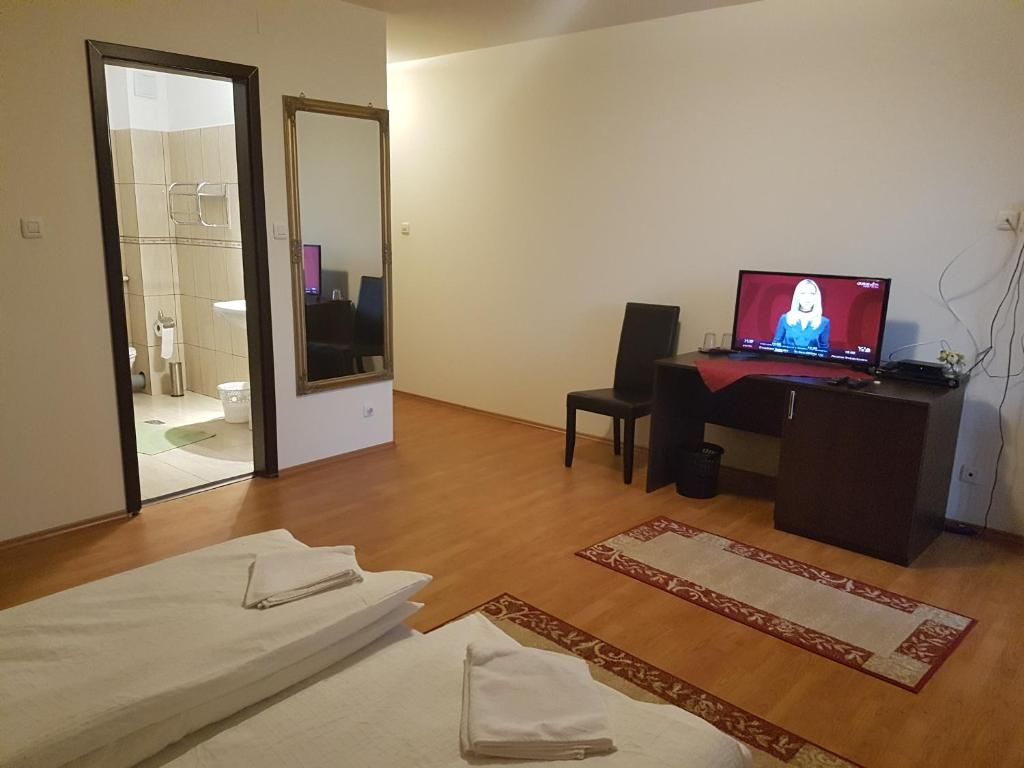 Гостевой дом Golden Moments Тимишоара-76