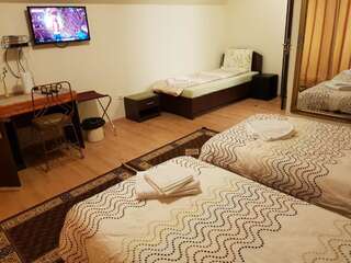 Гостевой дом Golden Moments Тимишоара Двухместный номер с 1 кроватью или 2 отдельными кроватями и балконом-20