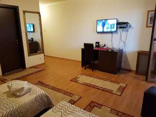 Гостевой дом Golden Moments Тимишоара Трехместный номер с балконом-3