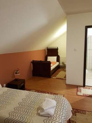 Гостевой дом Golden Moments Тимишоара Трехместный номер с балконом-4