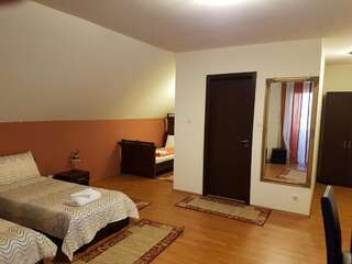 Гостевой дом Golden Moments Тимишоара Трехместный номер с балконом-8