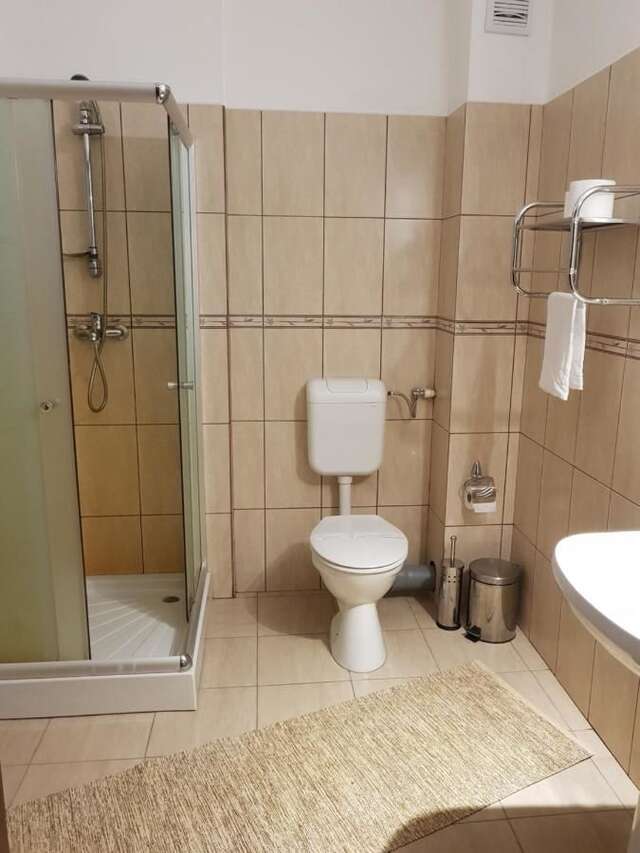 Гостевой дом Golden Moments Тимишоара-15