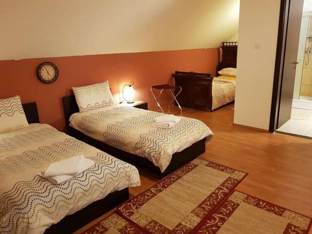 Гостевой дом Golden Moments Тимишоара-20