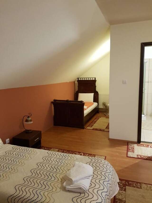 Гостевой дом Golden Moments Тимишоара-37