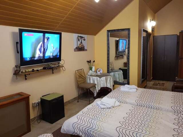 Гостевой дом Golden Moments Тимишоара-57