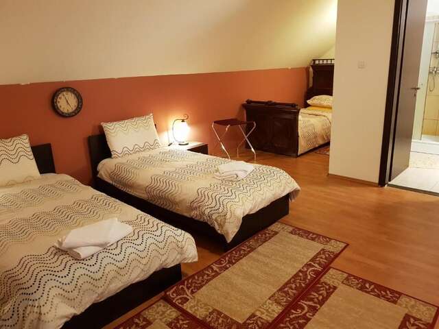 Гостевой дом Golden Moments Тимишоара-64