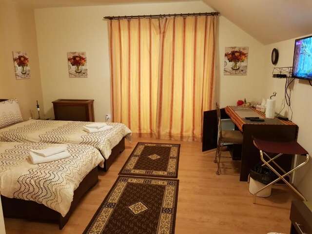 Гостевой дом Golden Moments Тимишоара-68