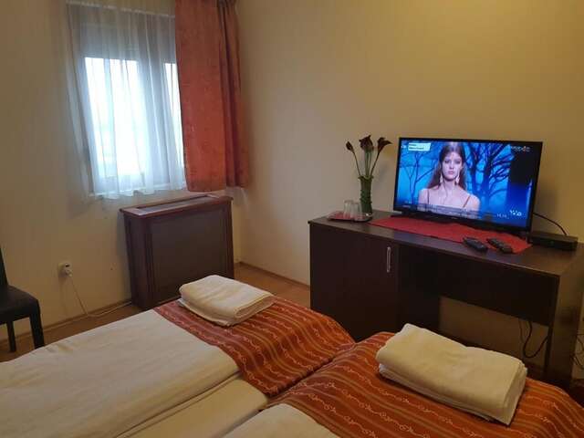 Гостевой дом Golden Moments Тимишоара-79